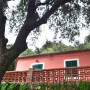 Casa-I-Lecci-vista-frontale